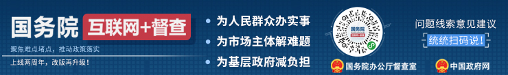 互联网+督查