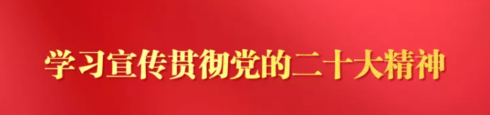 学习宣传贯彻落实党的二十大精神